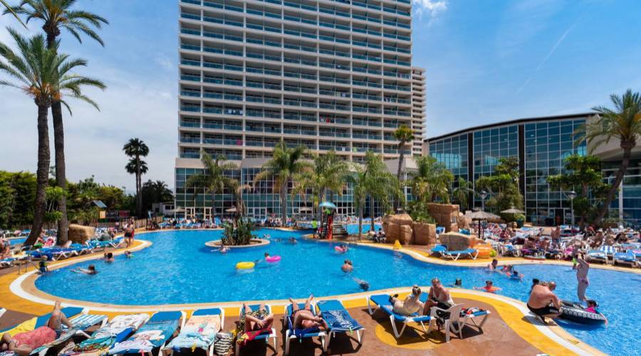  pool flamingo oasis hotel benidorm