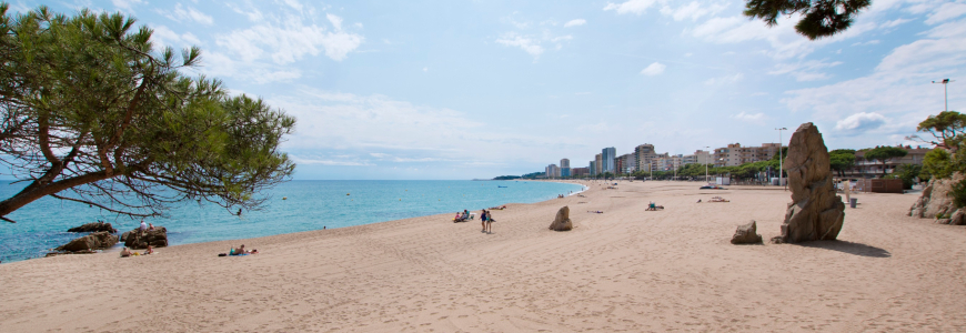 Rabais 15% Hôtel Monterrey - Platja d'Aro