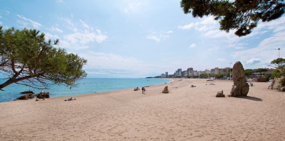 Rabais 10% Hôtel Monterrey - Platja d'Aro